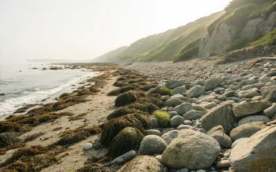 Moisturisers for Face: Natural Skincare Insights from Cornish Seaweed