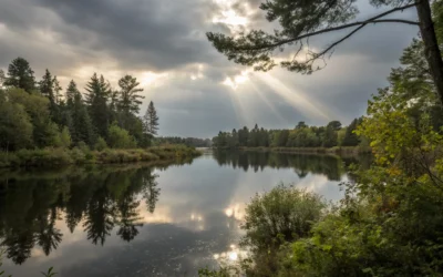 Top iPhone Case Deals 2025: Design Meets Durability