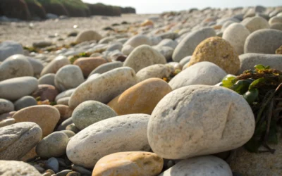 Purple Shampoo Secrets: Elevate Your Haircare Routine