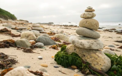 Silver Shampoo Secrets: Elevate Hair Care with Cornish Seaweed