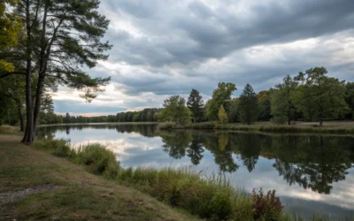 Stocking Stuffers 2025: Smartish Picks for Design Pros